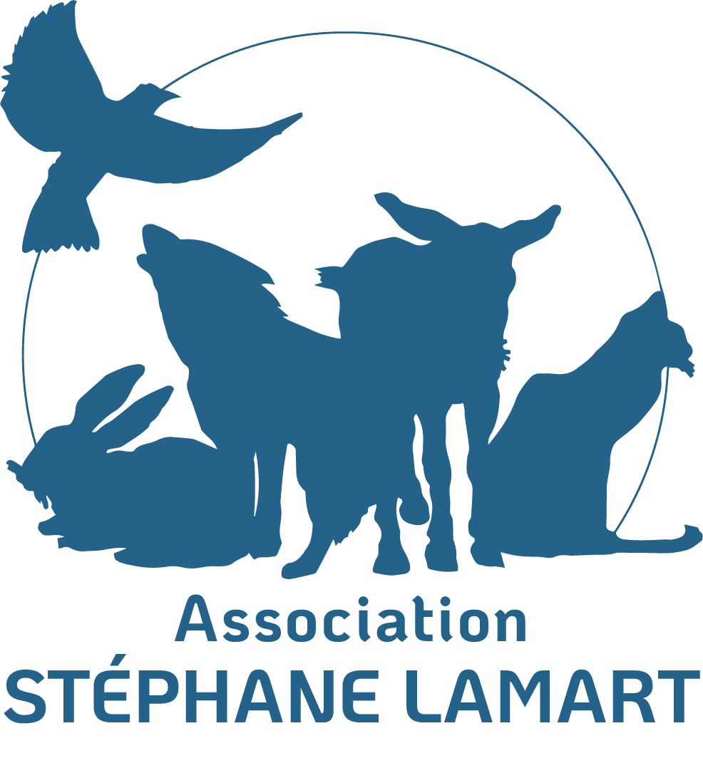 Association Stéphane Lamart